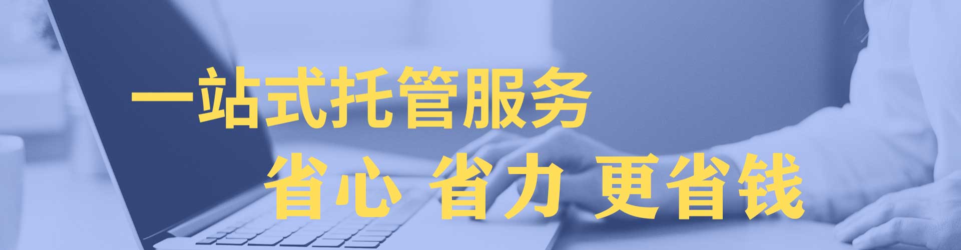 凤阳竞价托管